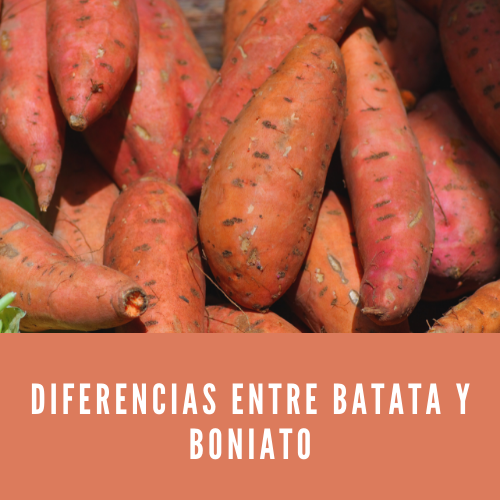 Diferencias entre batata y boniato