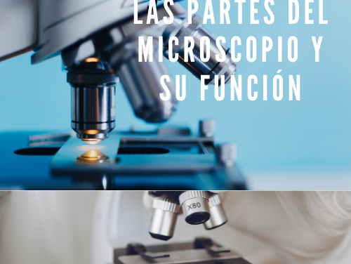 Las partes del microscopio y su función