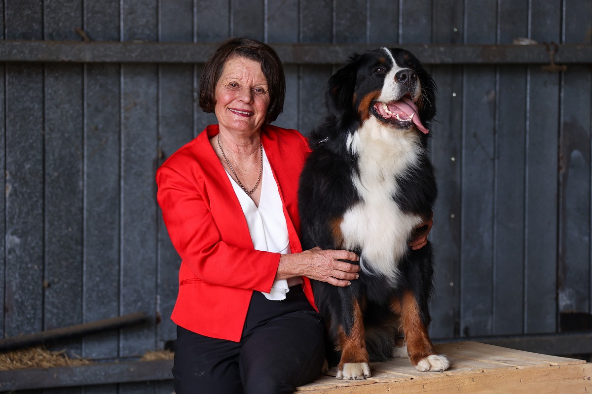 dogs-nsw-advierte-sobre-nuevas-leyes-draconianas
