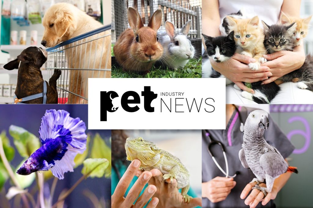 Pet Industry News se relanza con una apariencia y energía revitalizadas