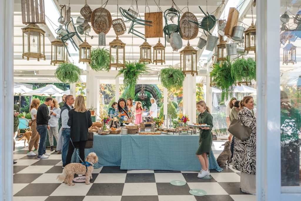 Presentamos la gama de accesorios para perros gummi x The Commons