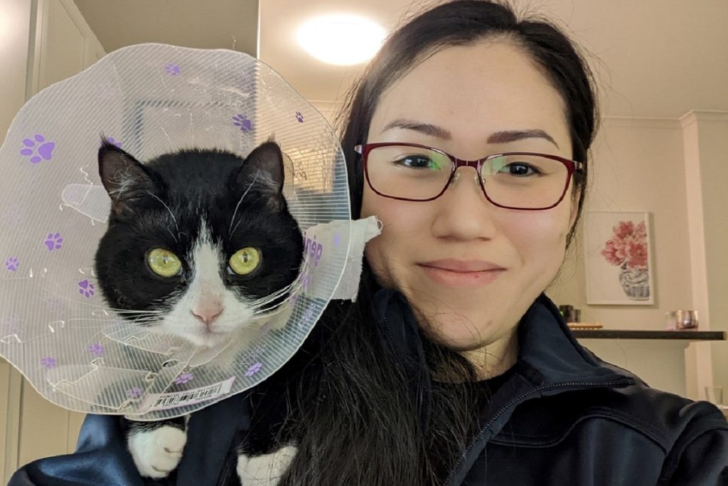 Ivory Coat está construyendo conexiones entre personas y mascotas