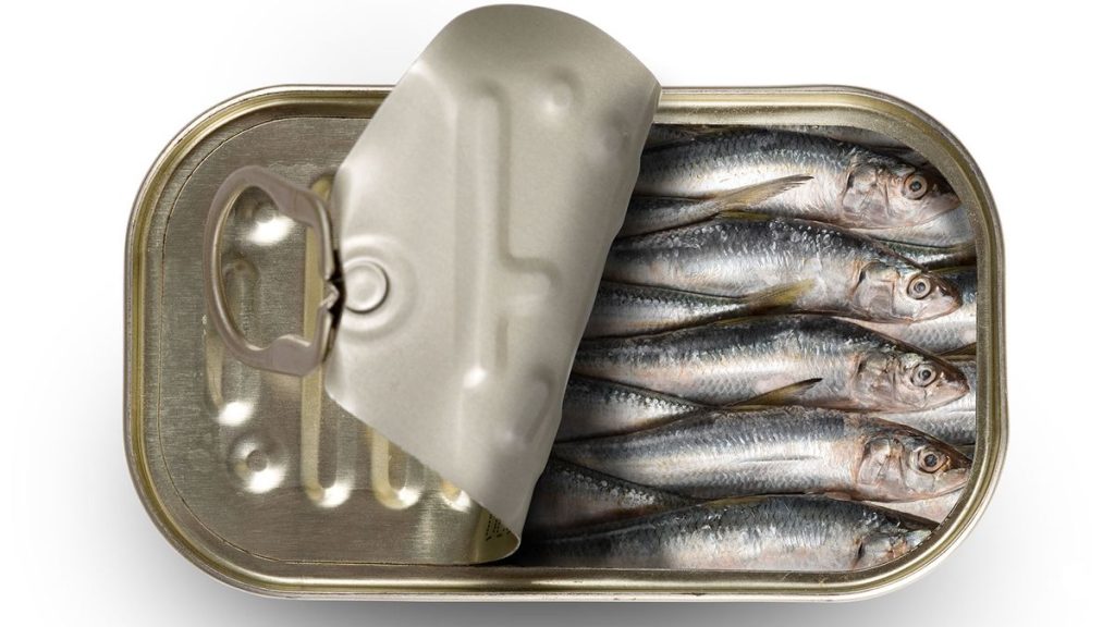 Sardinas: el pequeño pescado apestoso que deberías comer