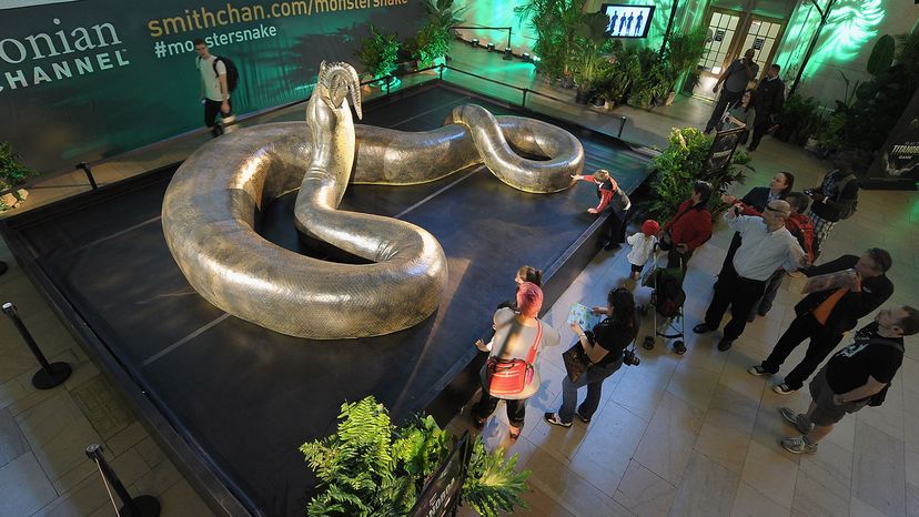 serpiente más grande