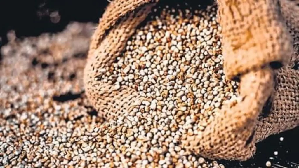 Comida del centro, departamento de distribución pública para servir comida de mijo en comedores, reuniones