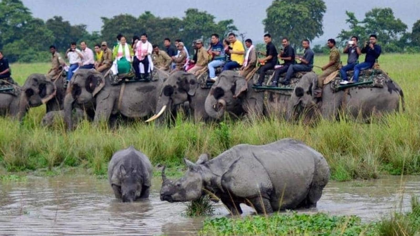 El Parque Nacional Kaziranga Y La Reserva De Tigres Reabren Para Los Turistas