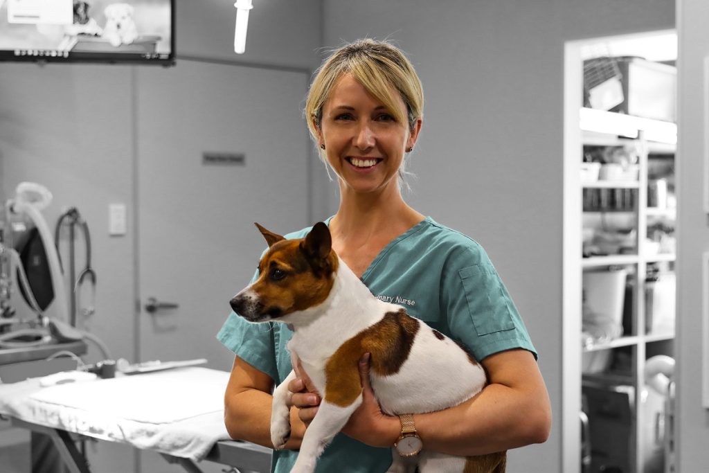 Las clínicas veterinarias se combinan para formar el grupo Suncoast Vet