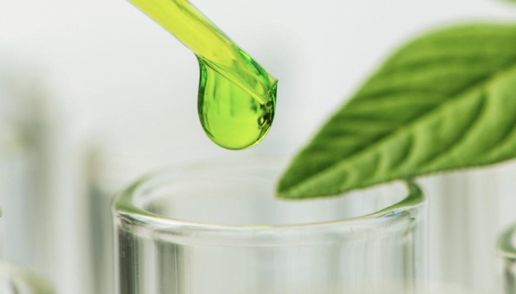 AFYREN incorpora nuevas contrataciones para apoyar el crecimiento en Francia y la expansión en el extranjero