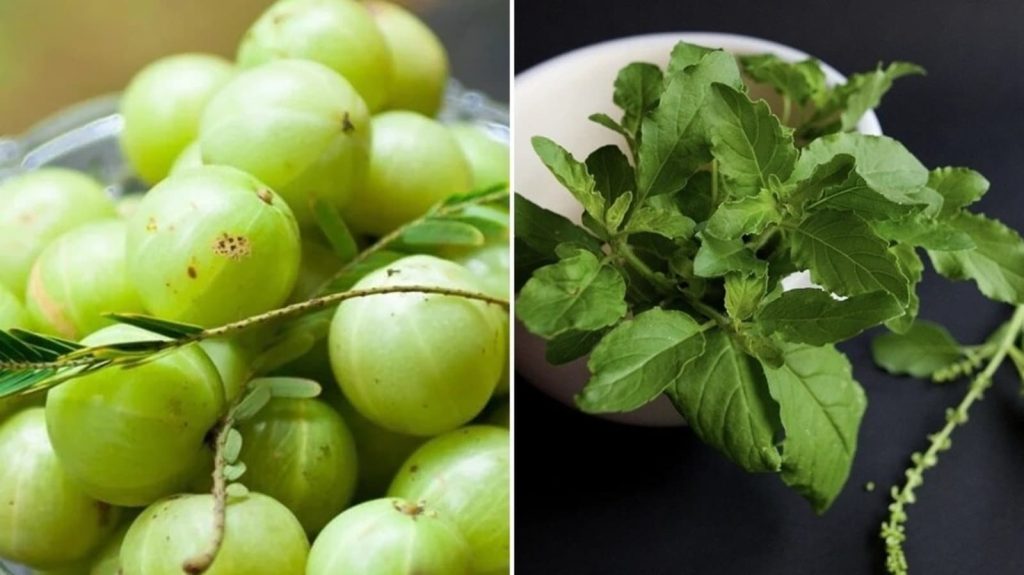 7 alimentos a consumir en invierno para evitar el resfriado y la tos